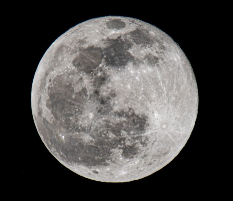 Photo Digestive system